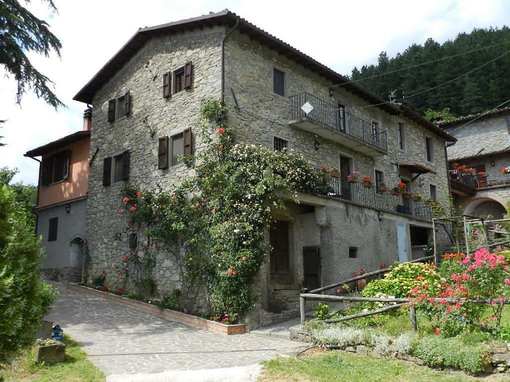קסטיליונה די גרפניאנה B&B Il Casale Delle Pianacce מראה חיצוני תמונה