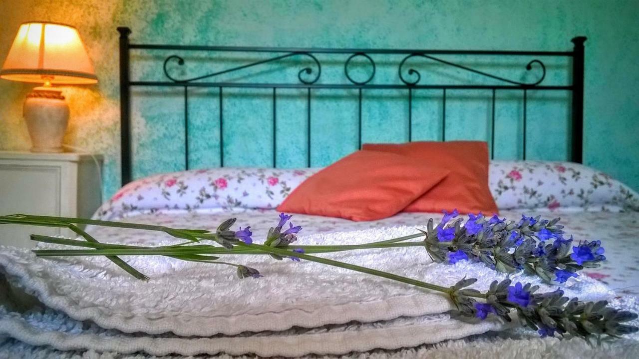 קסטיליונה די גרפניאנה B&B Il Casale Delle Pianacce מראה חיצוני תמונה